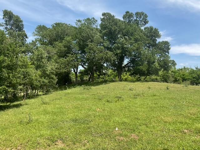 00 Riverside Plantation Lane, Chappell Hill, Texas image 19