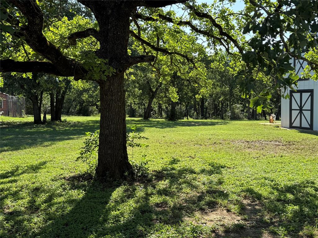 584 Old Antioch Road, Smithville, Texas image 41