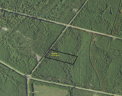 Photo of 40 Fm 1751, Pineland, TX 76968 (MLS # 24758945)