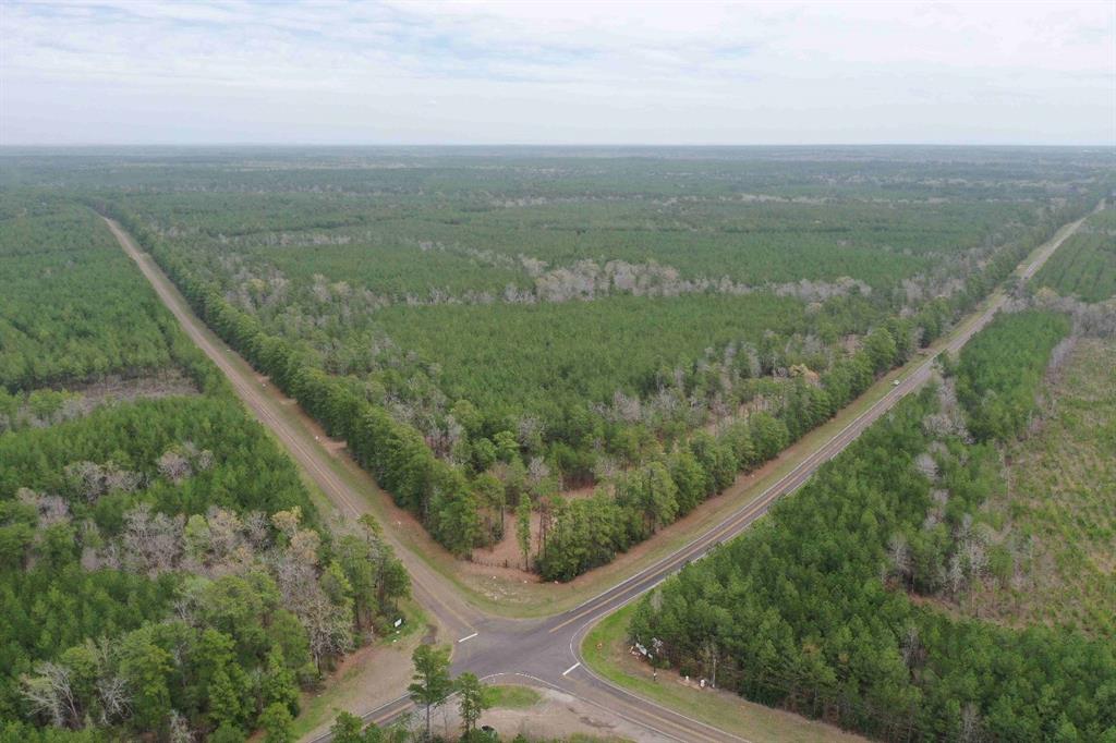 Fm 1751, Pineland, Texas image 7