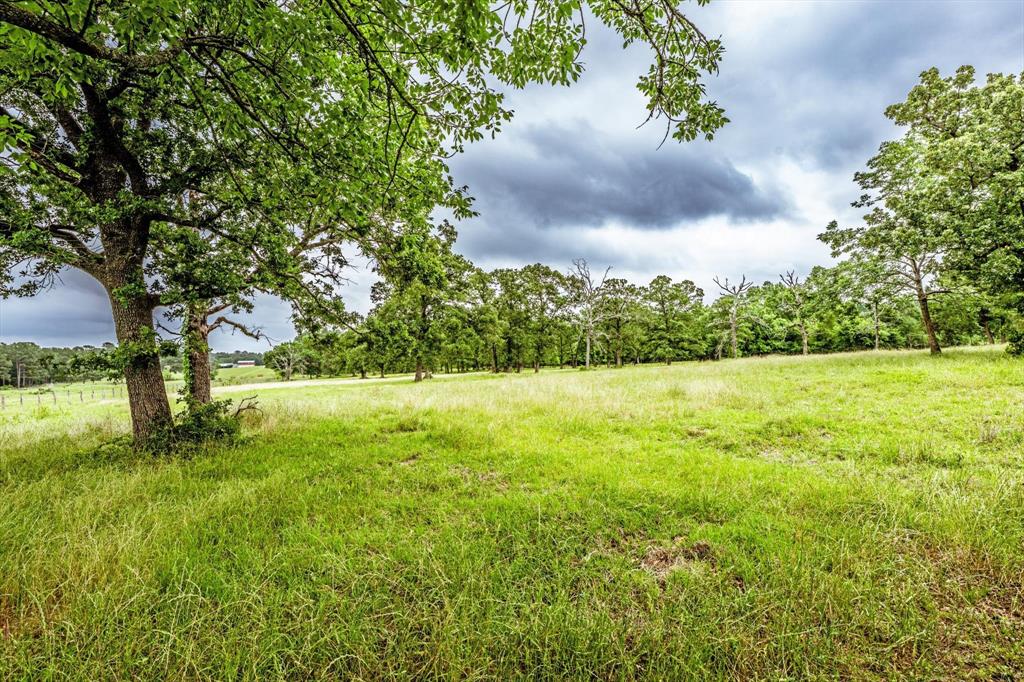 218 Rosenwall Road, Huntsville, Texas image 16