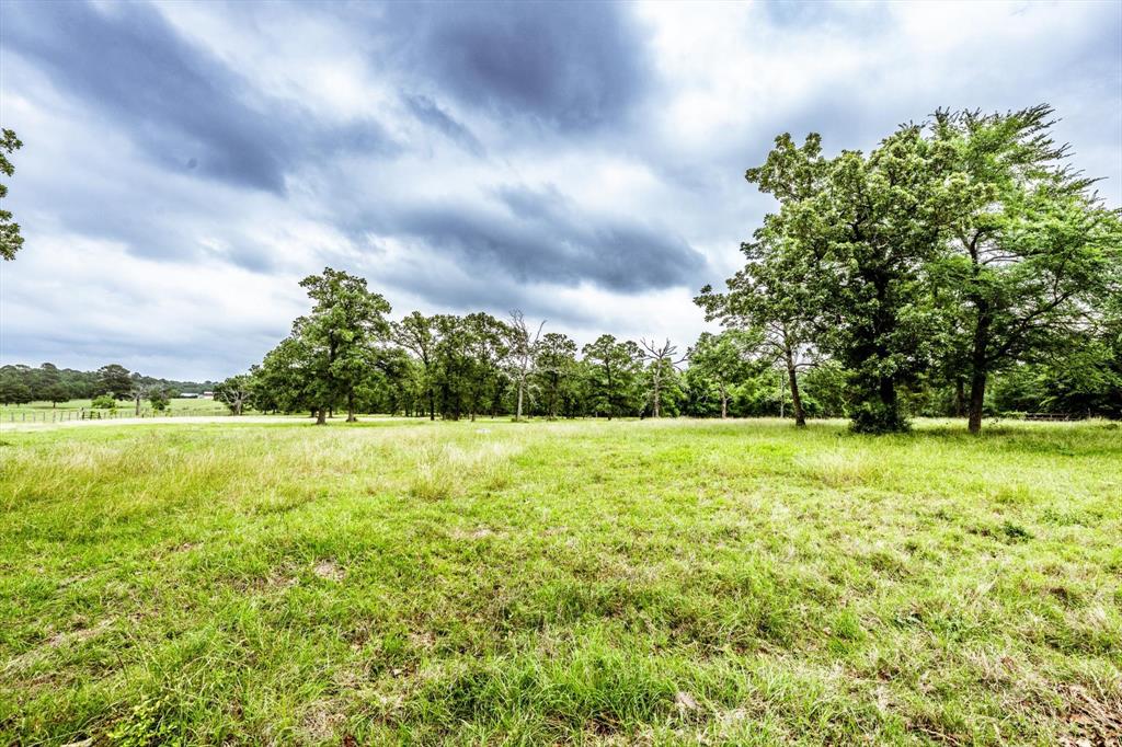 218 Rosenwall Road, Huntsville, Texas image 17