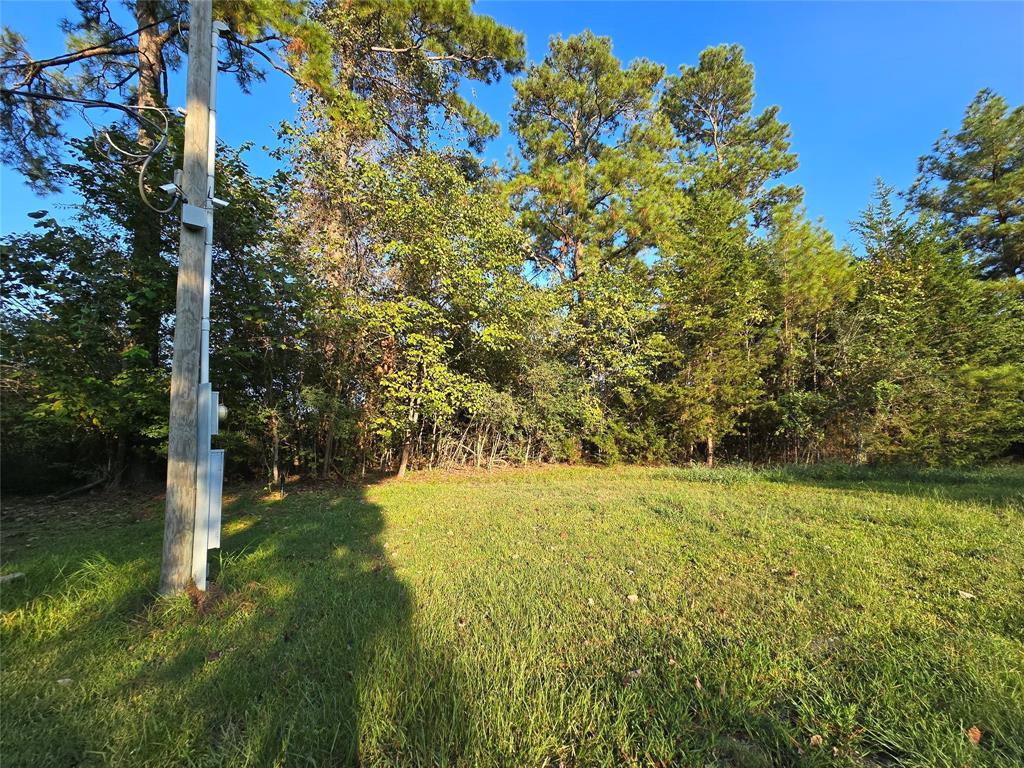 616 State Hwy 150, New Waverly, Texas image 43