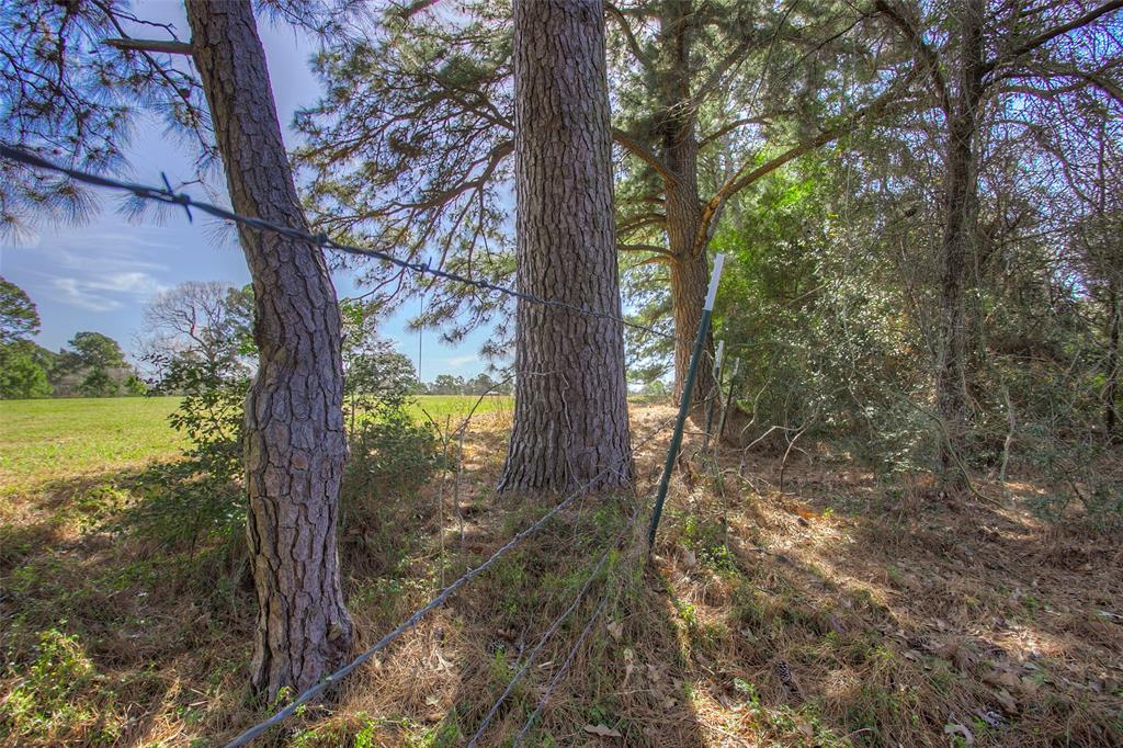 13 Westwood Drive, Huntsville, Texas image 48