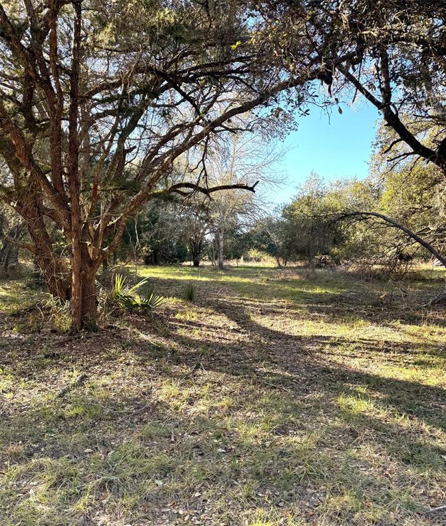 8003 County Road 122, Hallettsville, Texas image 34