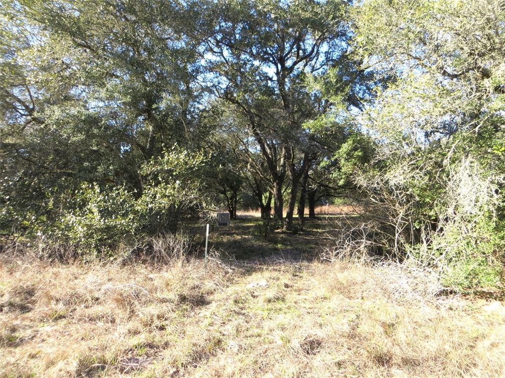 8003 County Road 122, Hallettsville, Texas image 20