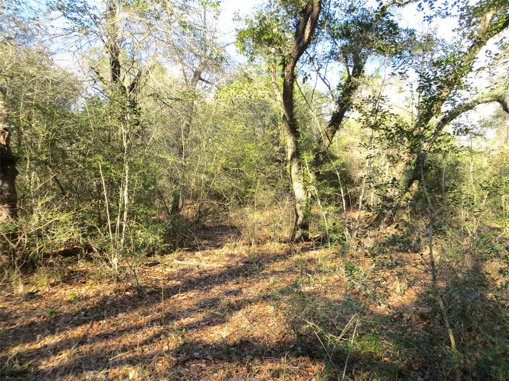 8003 County Road 122, Hallettsville, Texas image 16