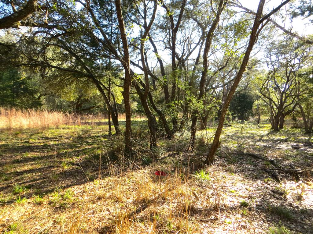 8003 County Road 122, Hallettsville, Texas image 9