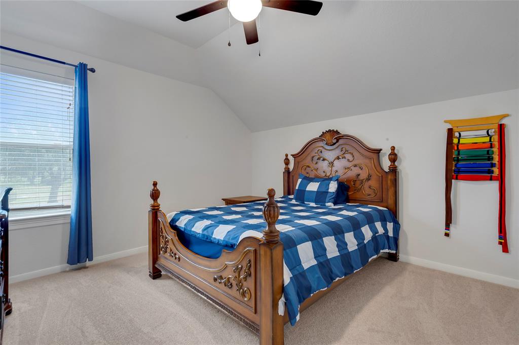 6003 Tarra Firma Drive, Spring, Texas image 30