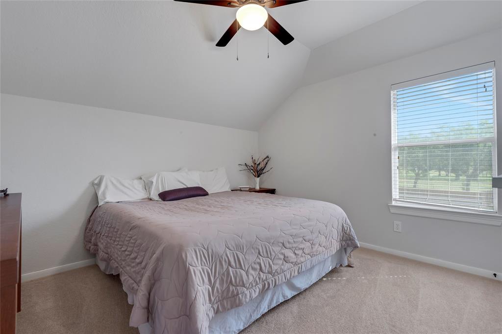 6003 Tarra Firma Drive, Spring, Texas image 28