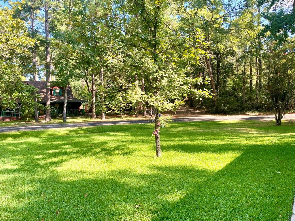 36 Corkwood Road, Trinity, Texas image 4