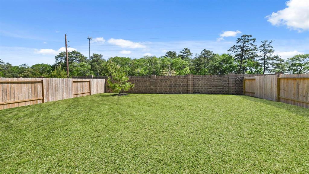 23547 Nectar Crest Heights, Splendora, Texas image 21