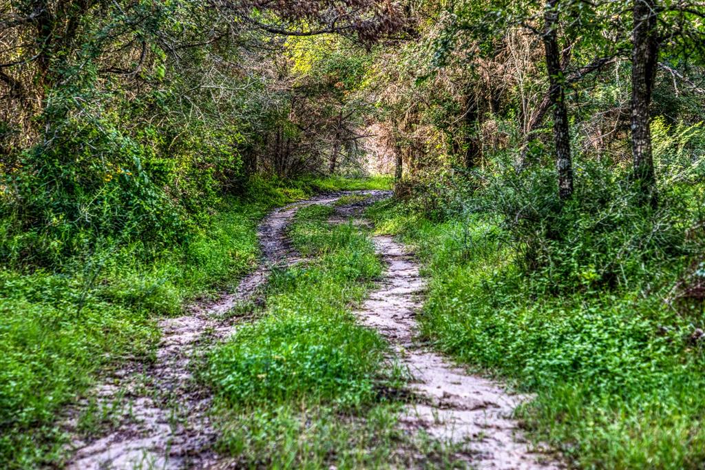 TBD Fm  50, Brenham, Texas image 3