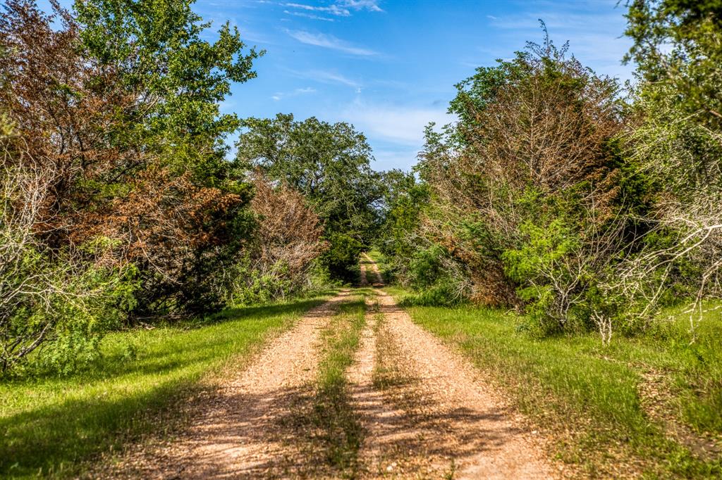 TBD Fm  50, Brenham, Texas image 14