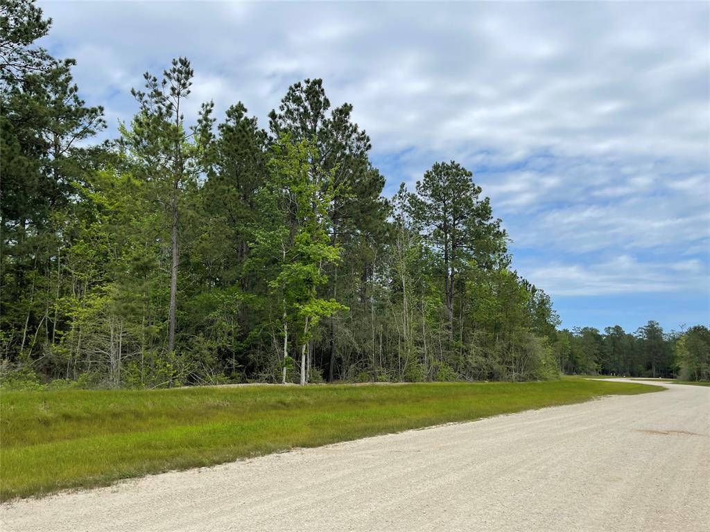 127 Gypsum Road, New Waverly, Texas image 5