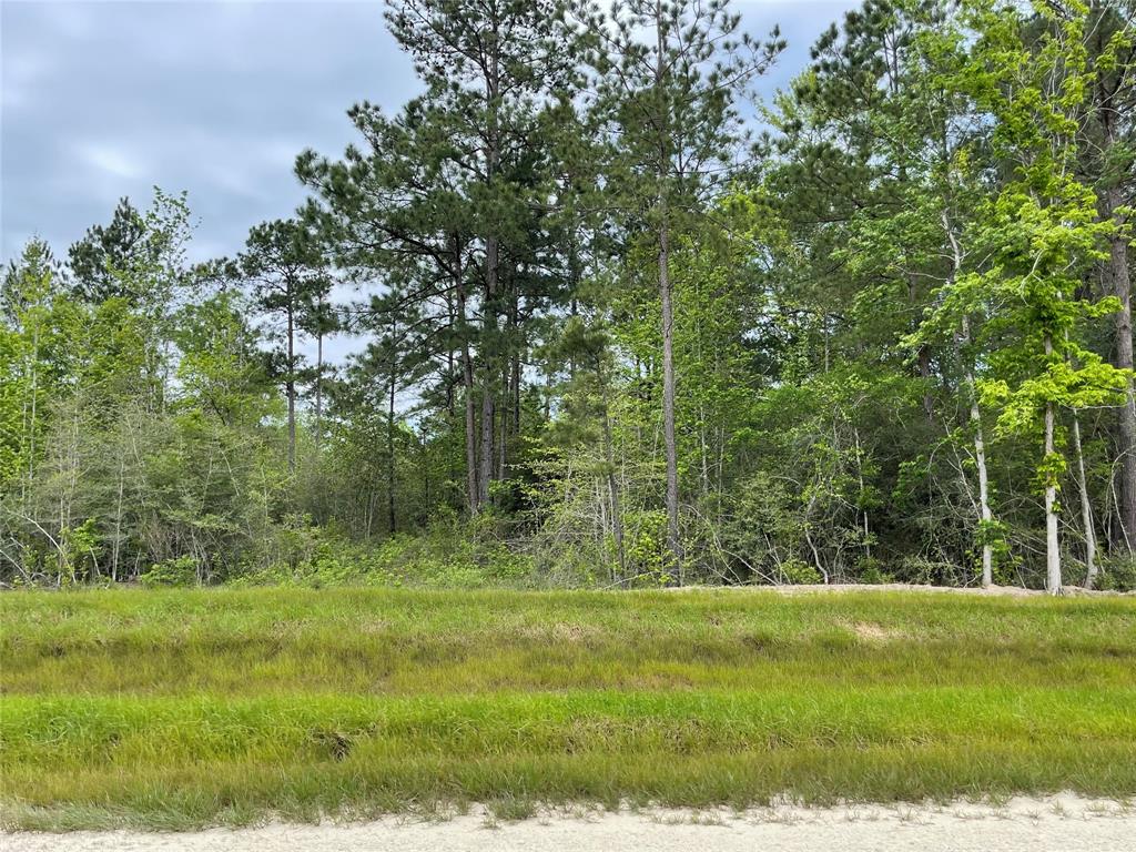 127 Gypsum Road, New Waverly, Texas image 6