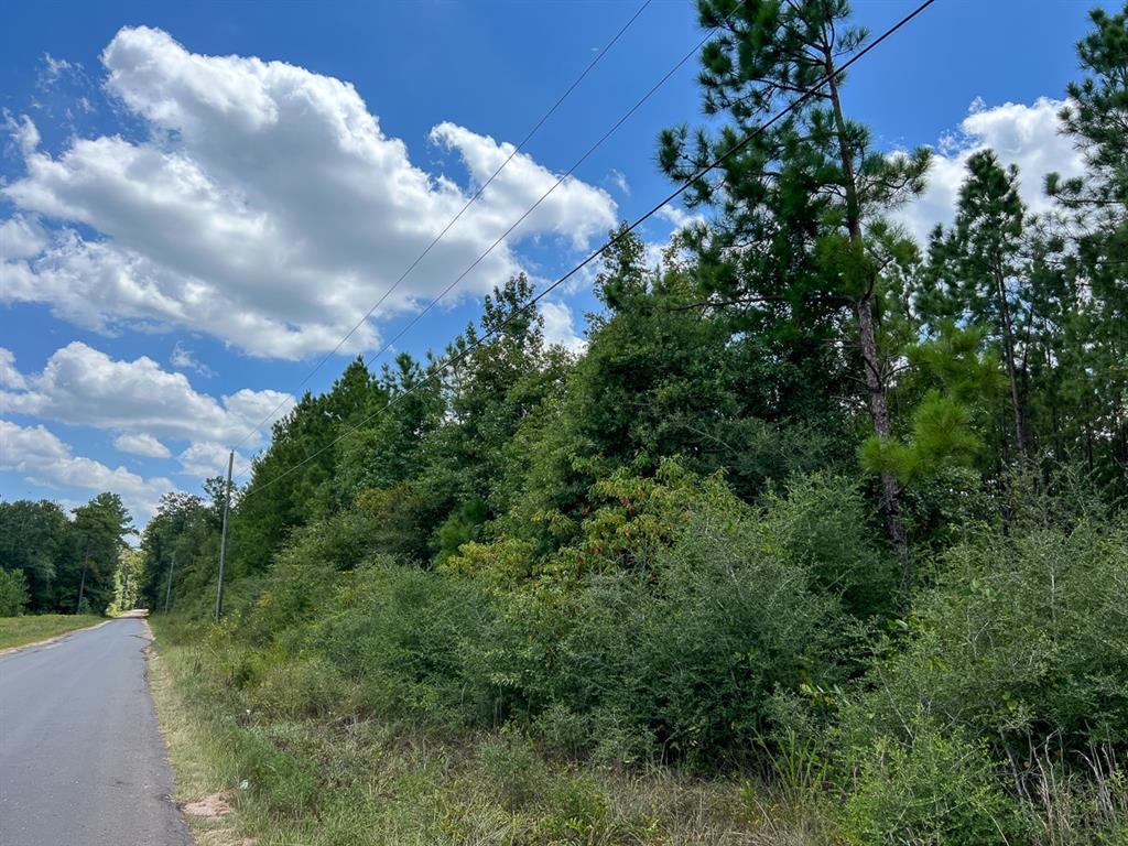 00000 County Road 1420, Warren, Texas image 9