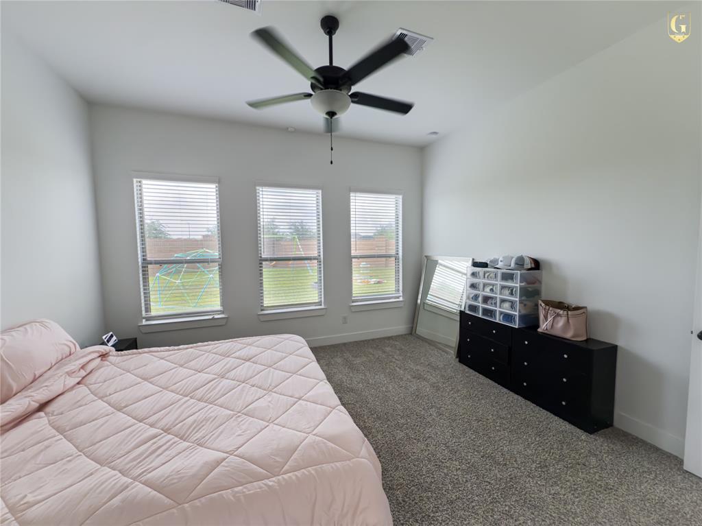 31334 Balsam Hawk Lane, Hockley, Texas image 18