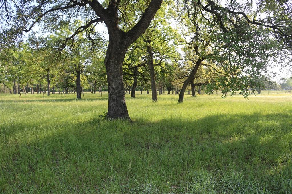2304 Highway 71, Columbus, Texas image 47