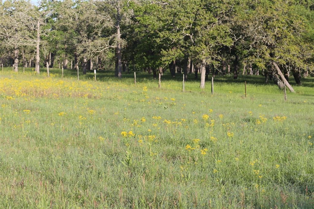 2304 Highway 71, Columbus, Texas image 44