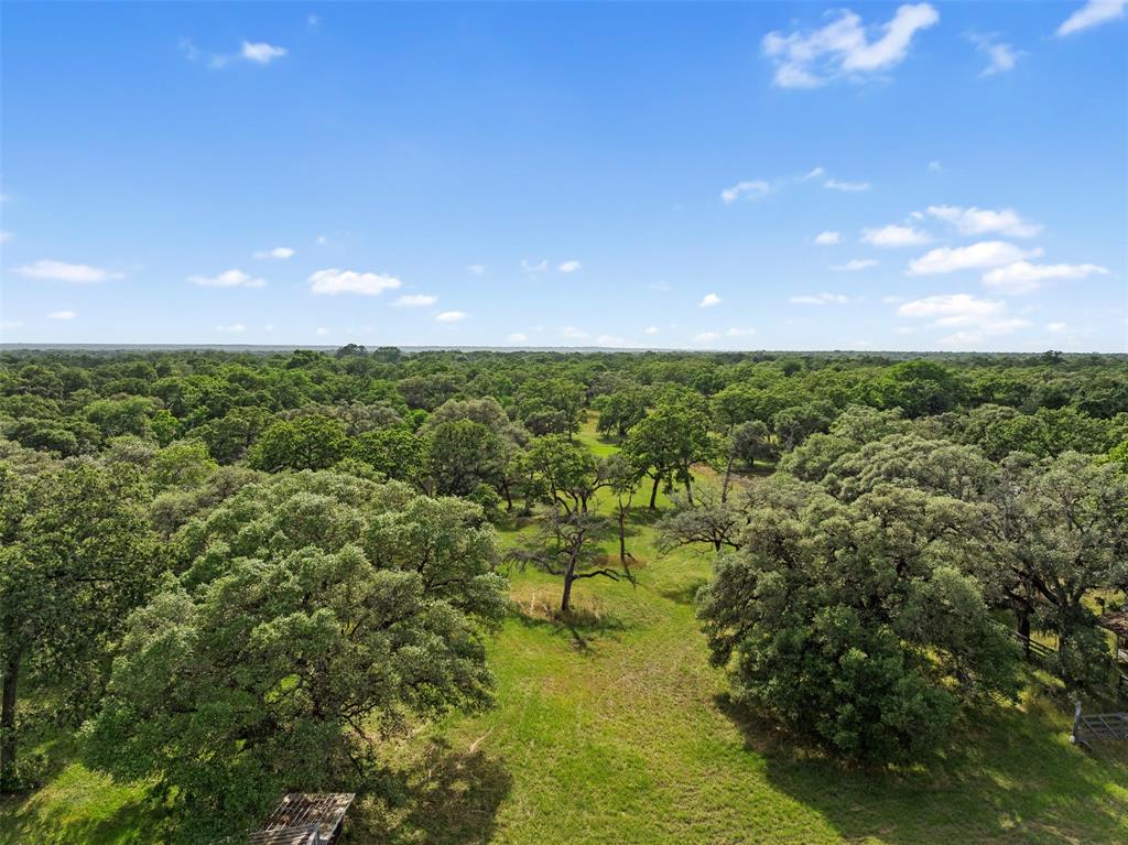 2304 Highway 71, Columbus, Texas image 40