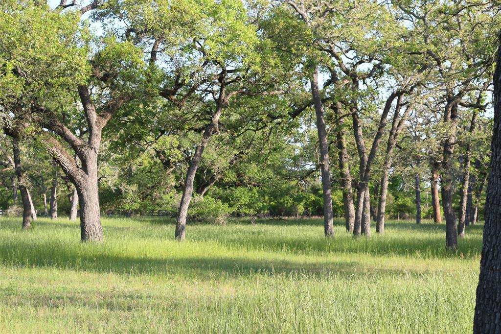 2304 Highway 71, Columbus, Texas image 45