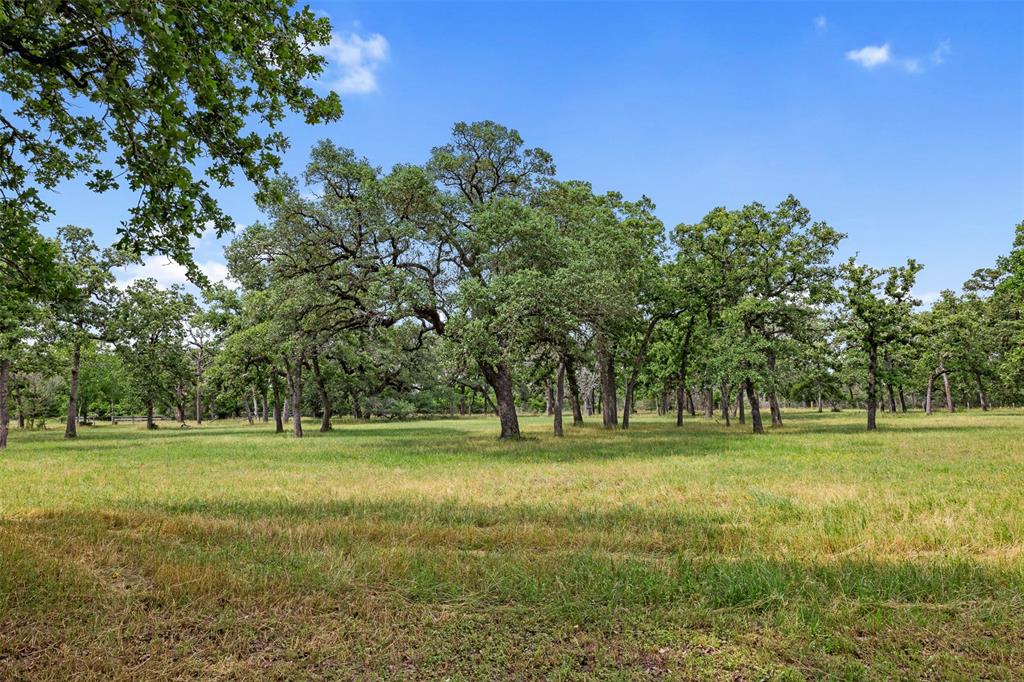 2304 Highway 71, Columbus, Texas image 28