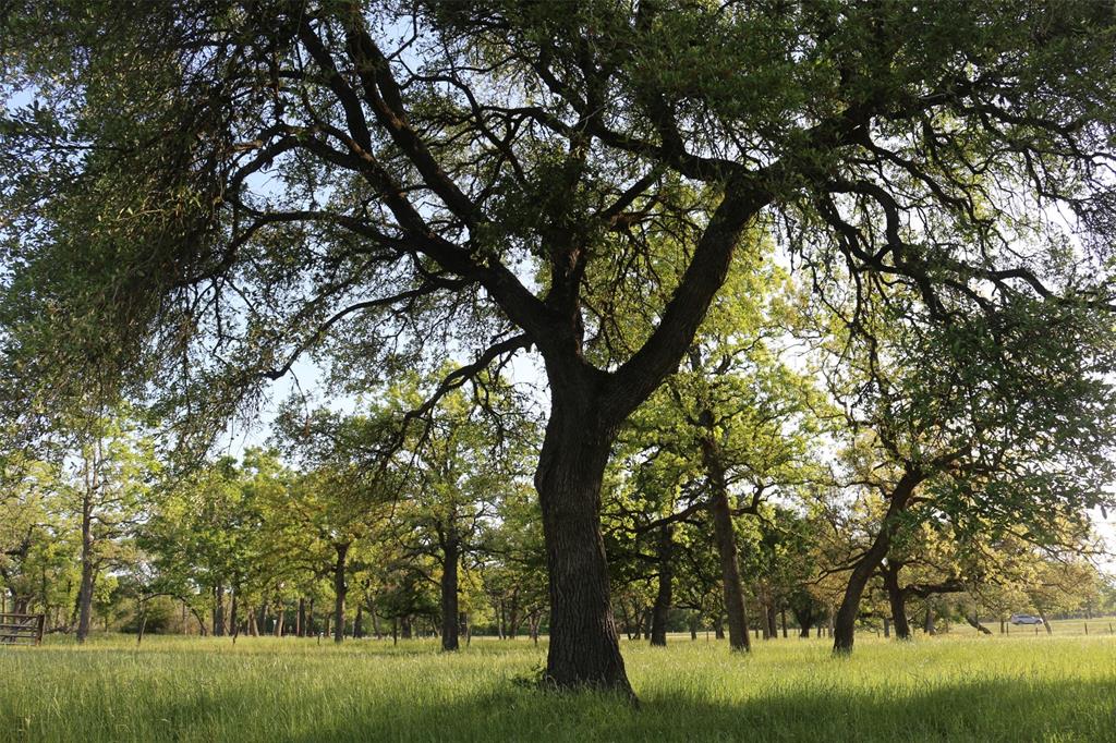 2304 Highway 71, Columbus, Texas image 48