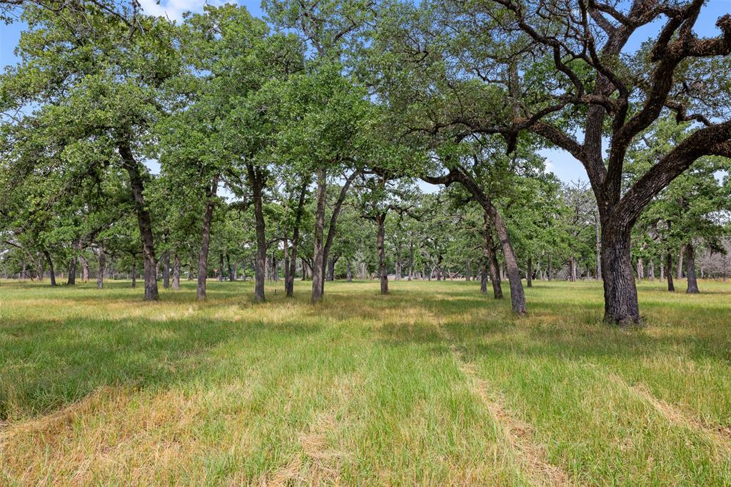 2304 Highway 71, Columbus, Texas image 31