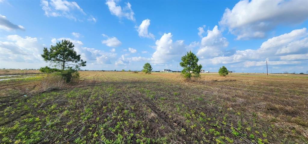 Lot 1 Fm 365, Beaumont, Texas image 6