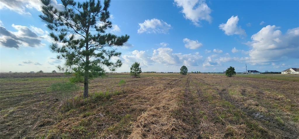 Lot 1 Fm 365, Beaumont, Texas image 3