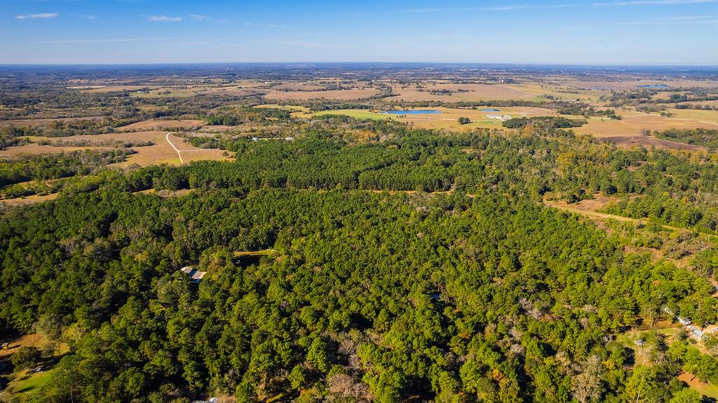 TBD Hickory Hill Road, Navasota, Texas image 9