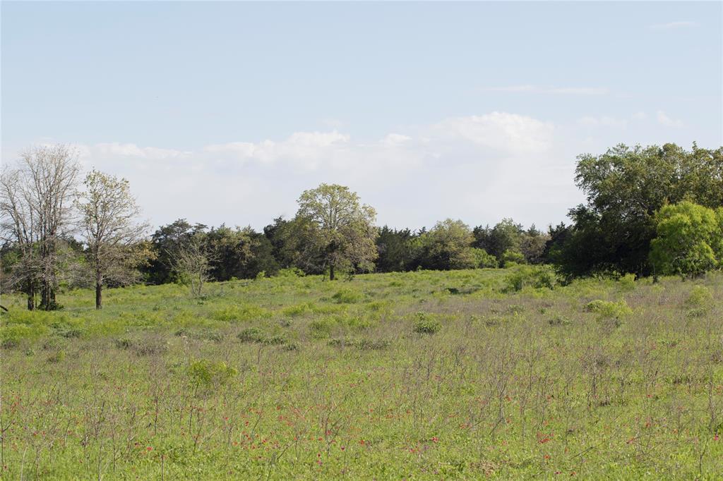 TBD Hunt Lane, Flatonia, Texas image 10