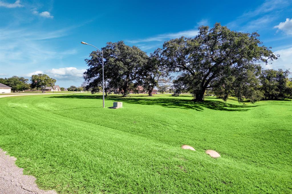 327 Cavalry Trail Drive, Rosharon, Texas image 1