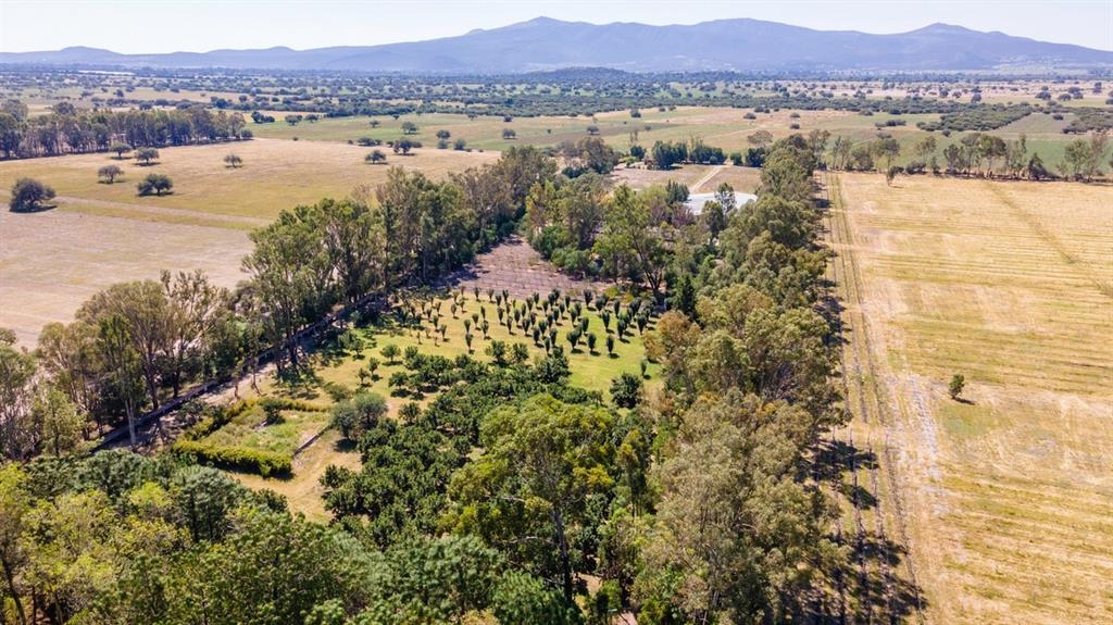 37784, Mexico, 4 Bedrooms Bedrooms, ,5 BathroomsBathrooms,Residential,Active,17814