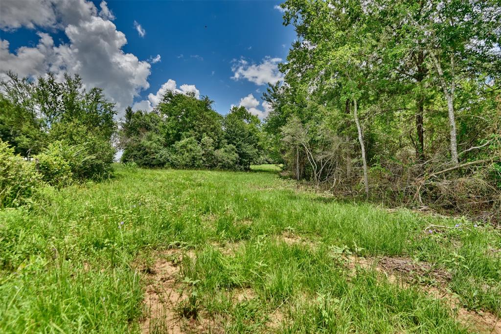 000 Trackside Road, Chappell Hill, Texas image 18