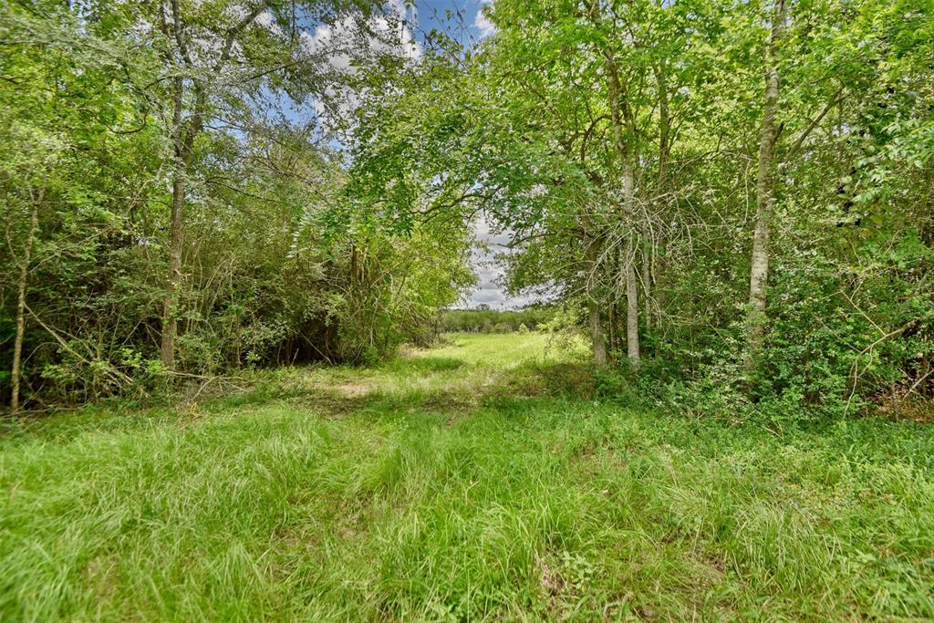 000 Trackside Road, Chappell Hill, Texas image 16