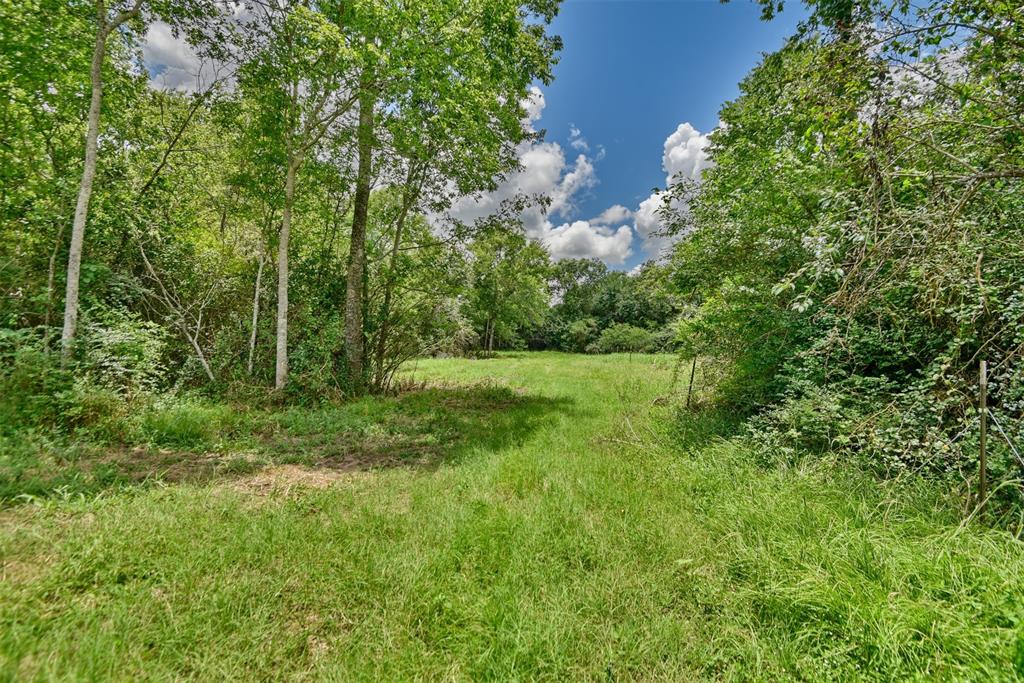 000 Trackside Road, Chappell Hill, Texas image 17