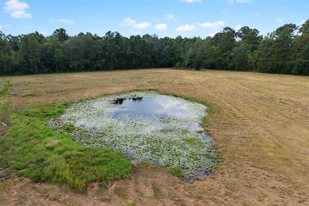 000 Treaschwig Road, Spring, Texas image 9