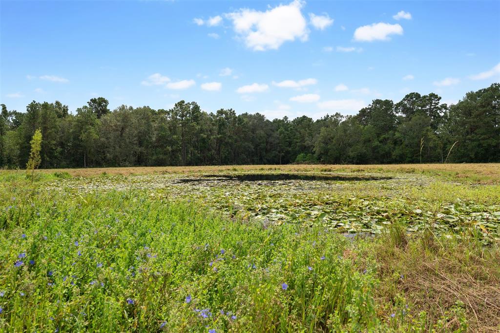 000 Treaschwig Road, Spring, Texas image 17