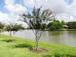 18519 Egret Bay Boulevard #1706, Webster, Texas image 2