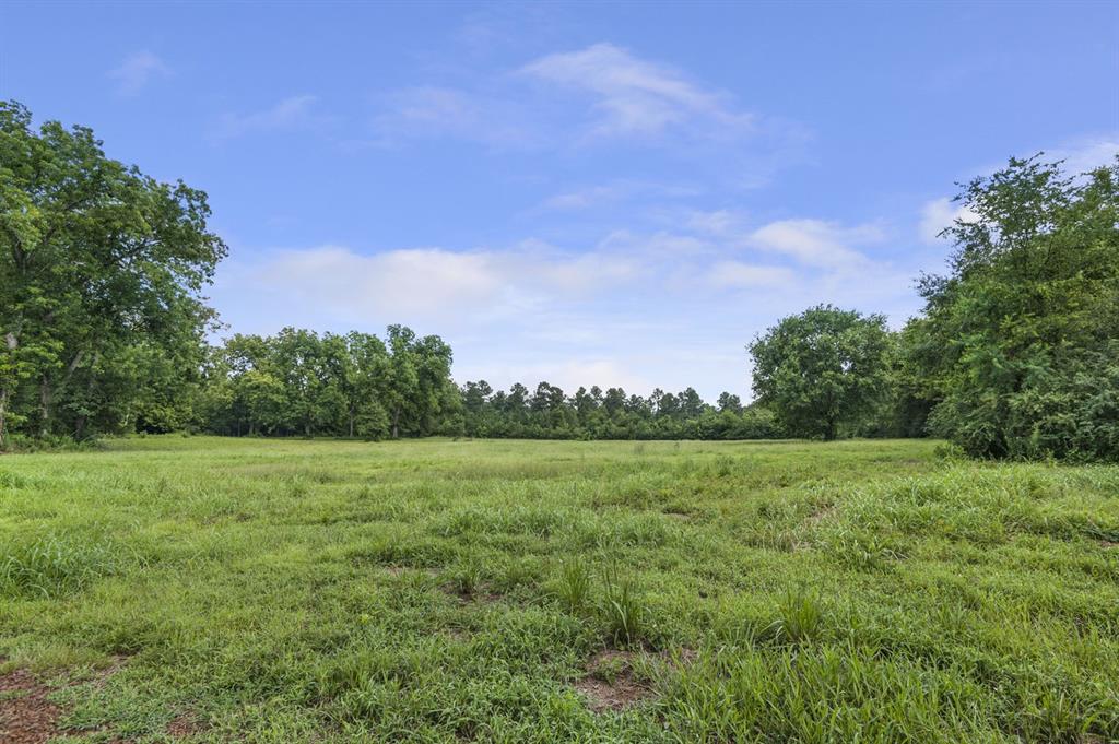 TBD- Lot 3 County Road 2801, Alto, Texas image 1