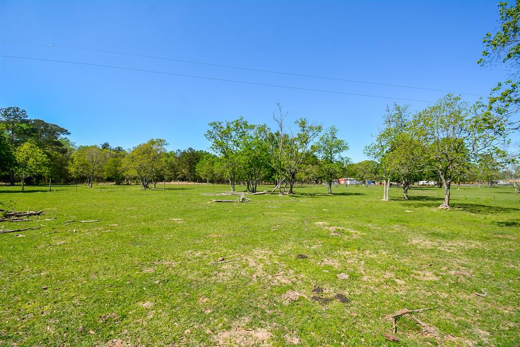 24897 Rainbow Lane, New Caney, Texas image 15