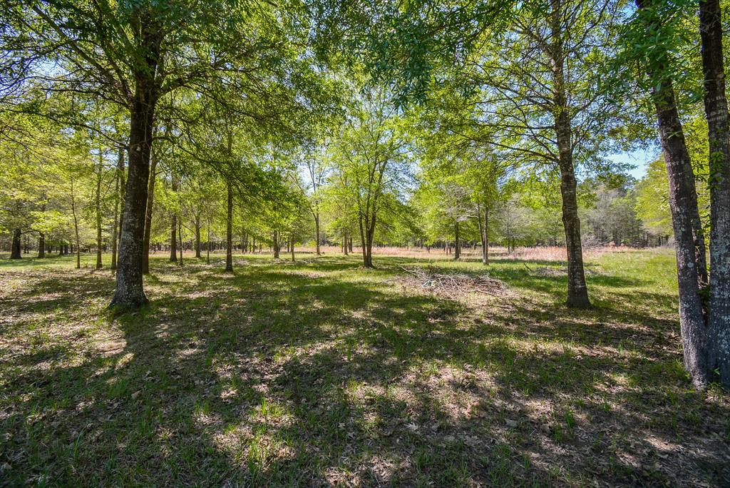 24897 Rainbow Lane, New Caney, Texas image 35