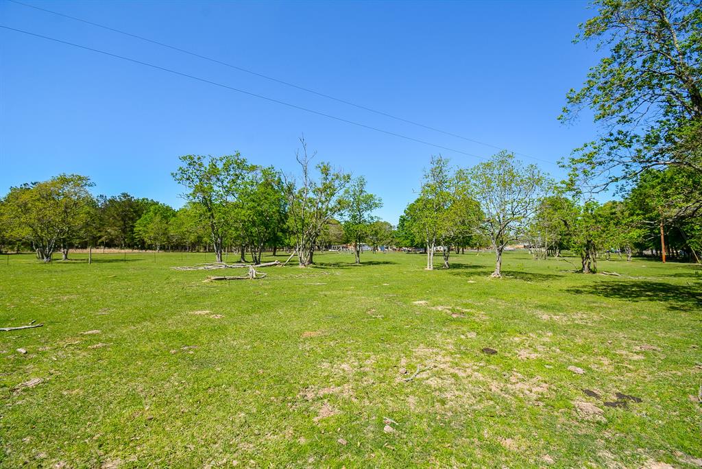 24897 Rainbow Lane, New Caney, Texas image 14