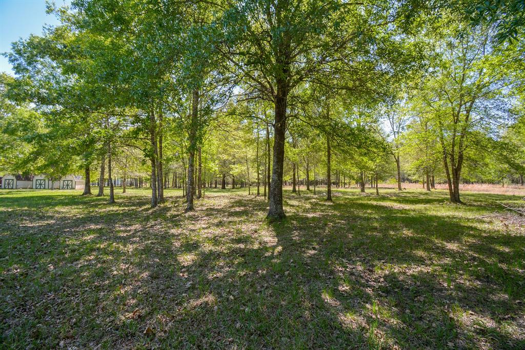 24897 Rainbow Lane, New Caney, Texas image 34