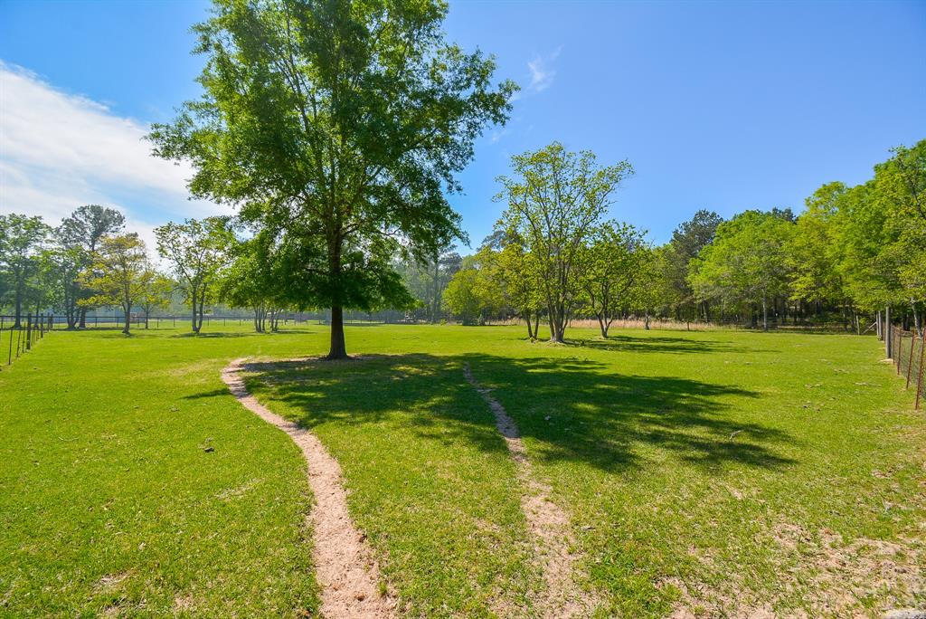 24897 Rainbow Lane, New Caney, Texas image 10