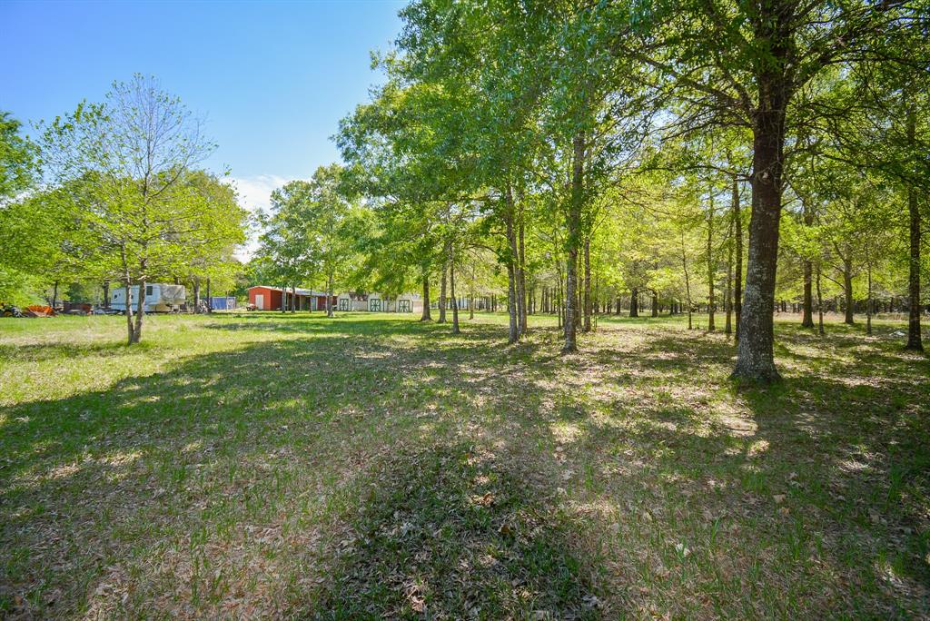 24897 Rainbow Lane, New Caney, Texas image 33