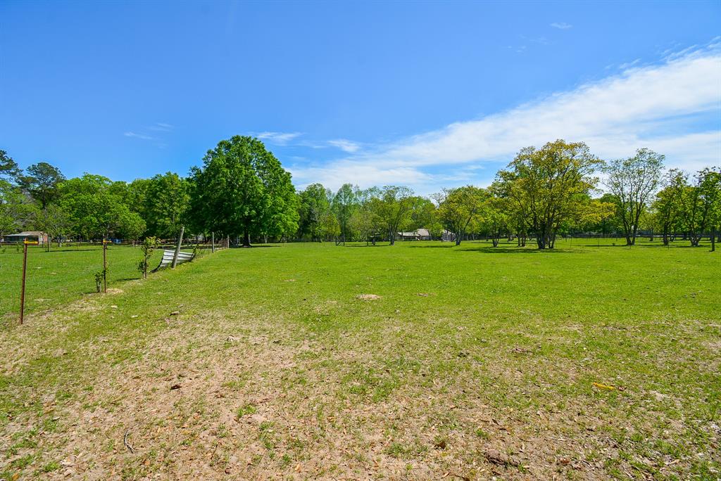 24897 Rainbow Lane, New Caney, Texas image 18