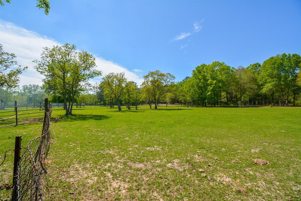 24897 Rainbow Lane, New Caney, Texas image 6